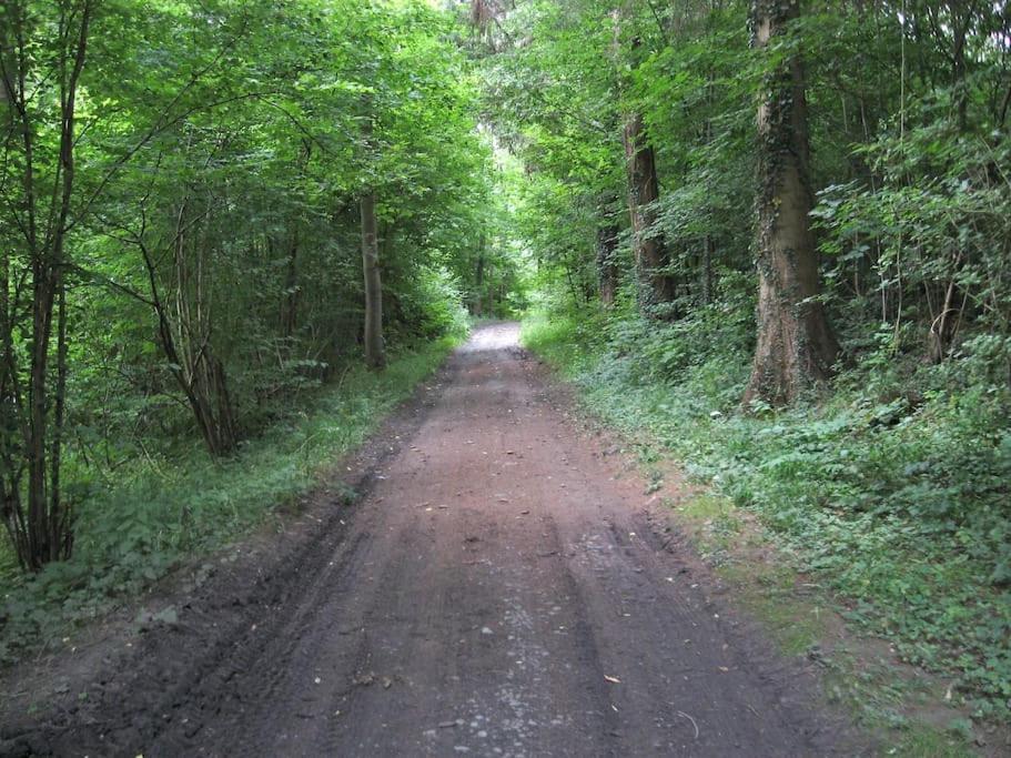 Gite Rural "L'Anseromia" Динант Екстериор снимка